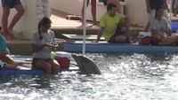 Delphintherapie Curacao 2013: Bild 16 von 108