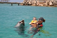 Delphintherapie Curacao 2013: Bild 23 von 108