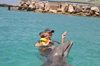 Delphintherapie Curacao 2013: Bild 25 von 108