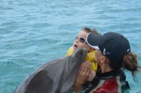 Delphintherapie Curacao 2013: Bild 27 von 108