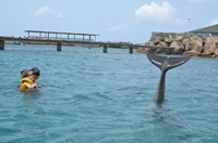 Delphintherapie Curacao 2013: Bild 34 von 108