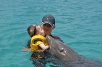 Delphintherapie Curacao 2013: Bild 35 von 108