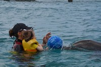 Delphintherapie Curacao 2013: Bild 40 von 108