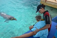 Delphintherapie Curacao 2013: Bild 41 von 108