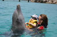 Delphintherapie Curacao 2013: Bild 57 von 108