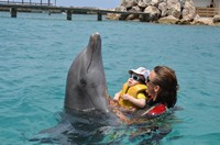 Delphintherapie Curacao 2013: Bild 58 von 108