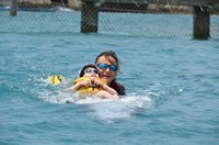 Delphintherapie Curacao 2013: Bild 61 von 108