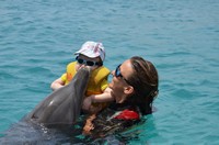Delphintherapie Curacao 2013: Bild 63 von 108