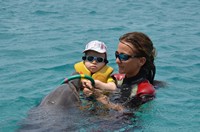 Delphintherapie Curacao 2013: Bild 69 von 108
