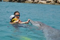Delphintherapie Curacao 2013: Bild 74 von 108
