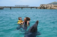 Delphintherapie Curacao 2013: Bild 84 von 108