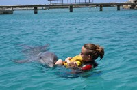 Delphintherapie Curacao 2013: Bild 88 von 108