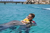 Delphintherapie Curacao 2013: Bild 89 von 108