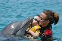 Delphintherapie Curacao 2013: Bild 93 von 108