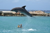 Delphintherapie Curacao 2013: Bild 98 von 108