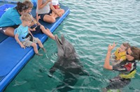 Delphintherapie Curacao 2013: Bild 105 von 108