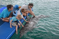 Delphintherapie Curacao 2013: Bild 106 von 108