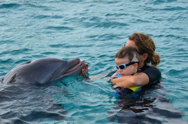 Delphintherapie Curacao 2014: Bild 13 von 66