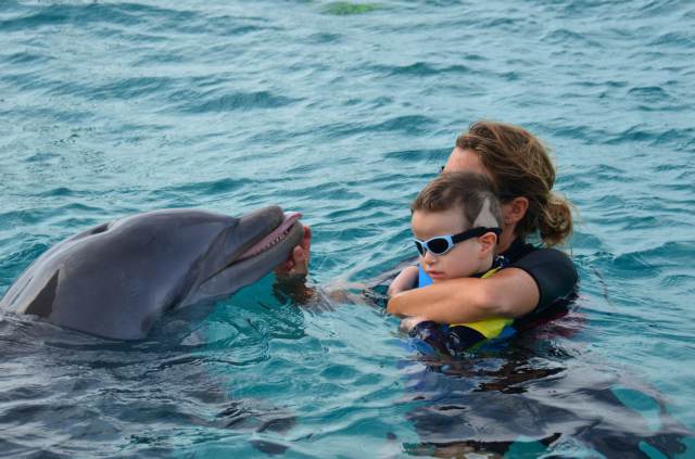 Delphintherapie Curacao 2014: Bild 14 von 66