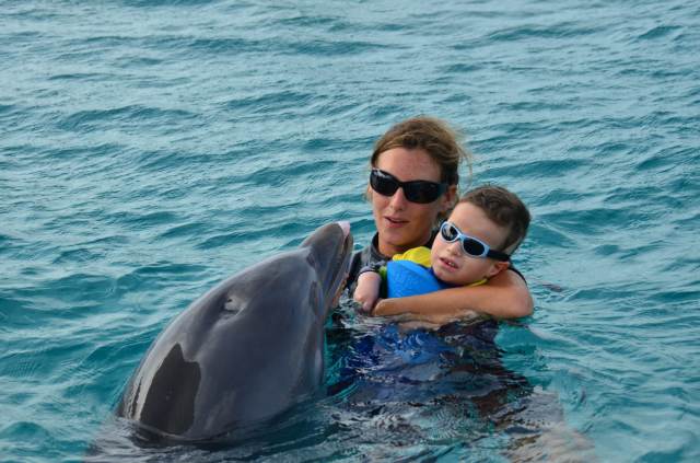 Delphintherapie Curacao 2014: Bild 15 von 66