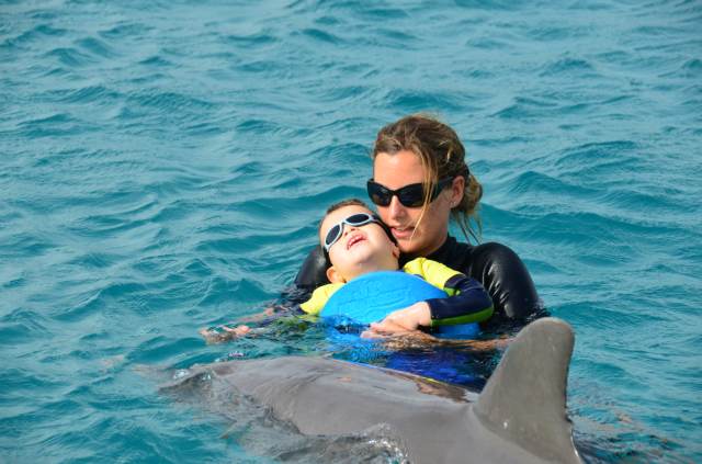 Delphintherapie Curacao 2014: Bild 16 von 66