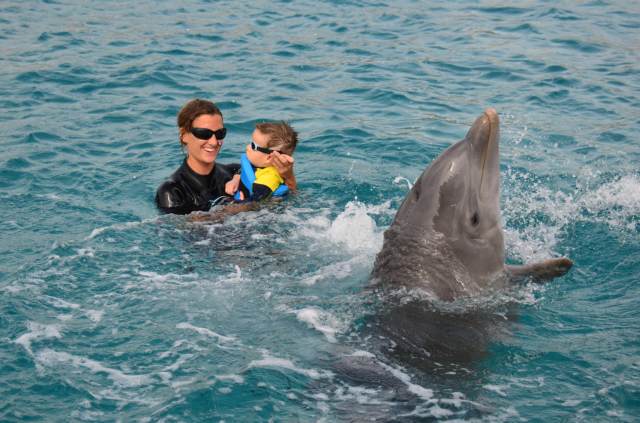 Delphintherapie Curacao 2014: Bild 19 von 66