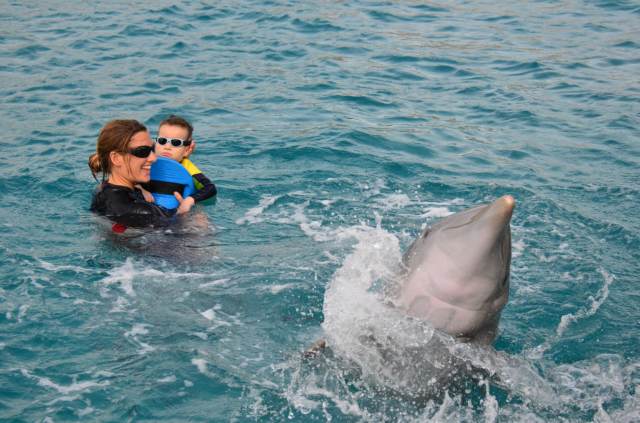 Delphintherapie Curacao 2014: Bild 20 von 66