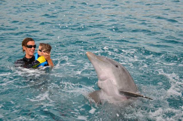 Delphintherapie Curacao 2014: Bild 21 von 66