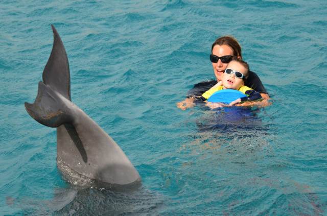 Delphintherapie Curacao 2014: Bild 23 von 66