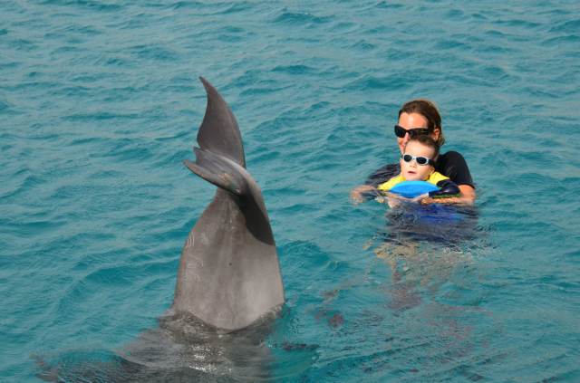 Delphintherapie Curacao 2014: Bild 24 von 66