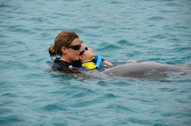 Delphintherapie Curacao 2014: Bild 25 von 66