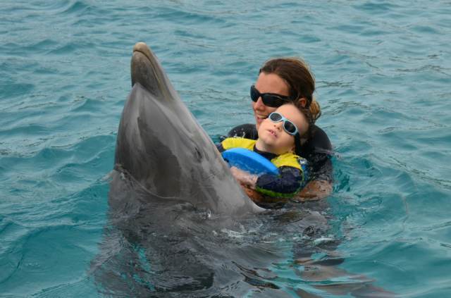 Delphintherapie Curacao 2014: Bild 26 von 66