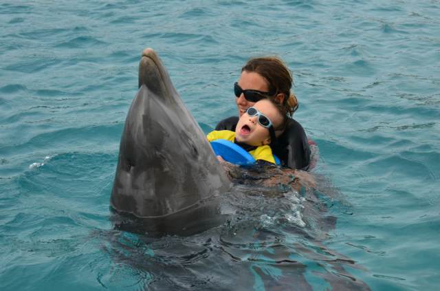 Delphintherapie Curacao 2014: Bild 27 von 66