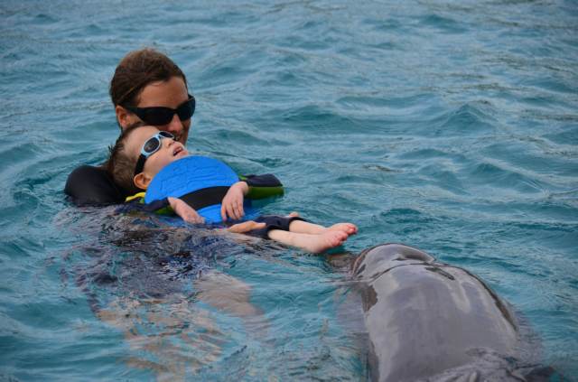 Delphintherapie Curacao 2014: Bild 32 von 66