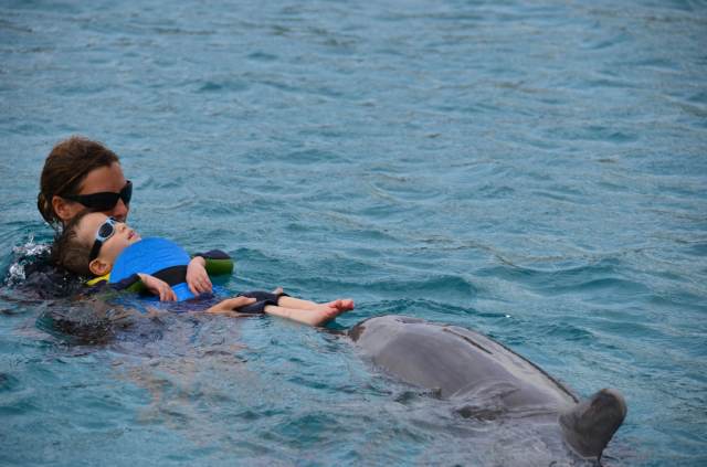 Delphintherapie Curacao 2014: Bild 33 von 66