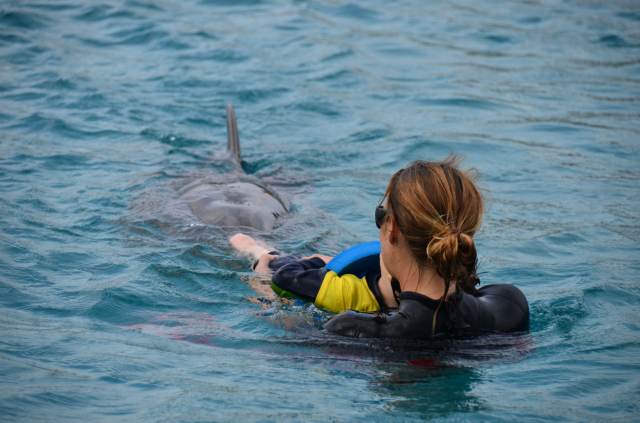 Delphintherapie Curacao 2014: Bild 34 von 66