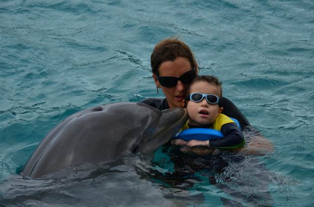 Delphintherapie Curacao 2014: Bild 35 von 66