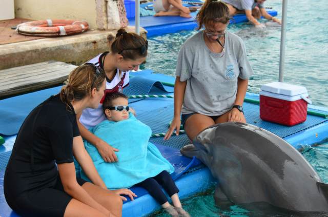 Delphintherapie Curacao 2014: Bild 38 von 66