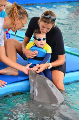 Delphintherapie Curacao 2014: Bild 39 von 66