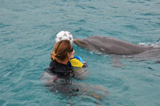 Delphintherapie Curacao 2014: Bild 41 von 66