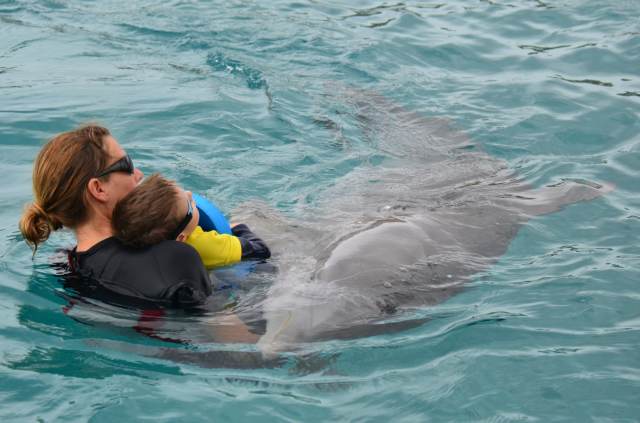 Delphintherapie Curacao 2014: Bild 45 von 66
