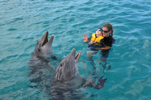 Delphintherapie Curacao 2014: Bild 52 von 66