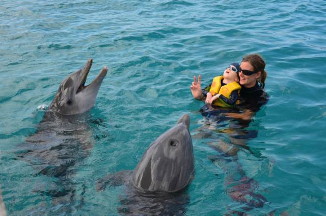 Delphintherapie Curacao 2014: Bild 53 von 66