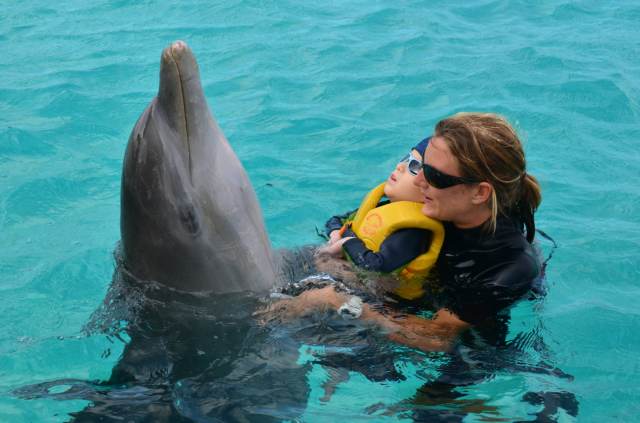 Delphintherapie Curacao 2014: Bild 55 von 66