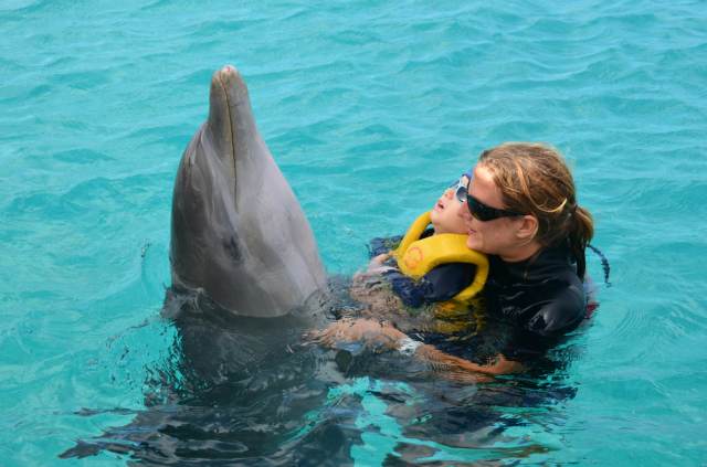 Delphintherapie Curacao 2014: Bild 56 von 66