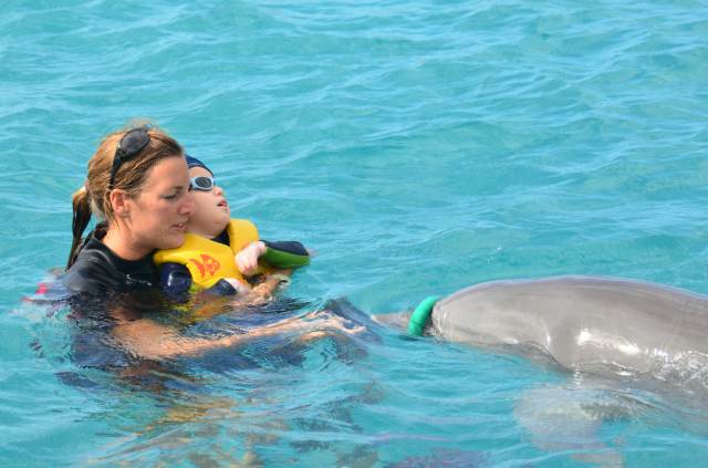 Delphintherapie Curacao 2014: Bild 57 von 66