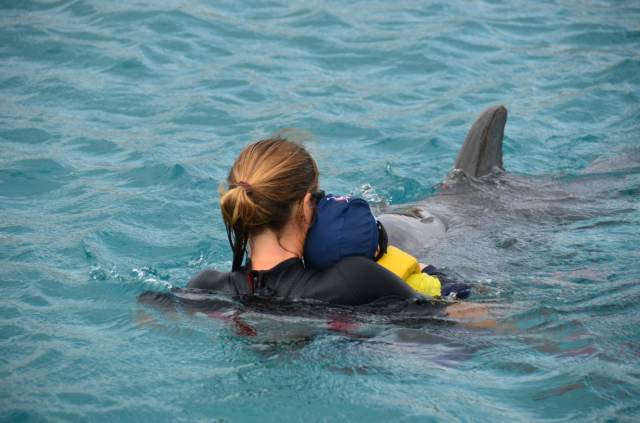 Delphintherapie Curacao 2014: Bild 63 von 66