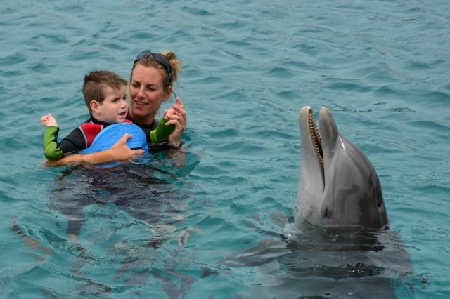 Delphintherapie Curacao 2015: Bild 4 von 47