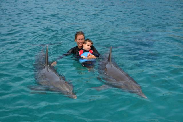 Delphintherapie Curacao 2015: Bild 13 von 47
