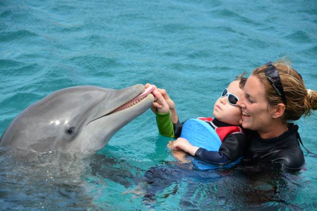 Delphintherapie Curacao 2015: Bild 16 von 47